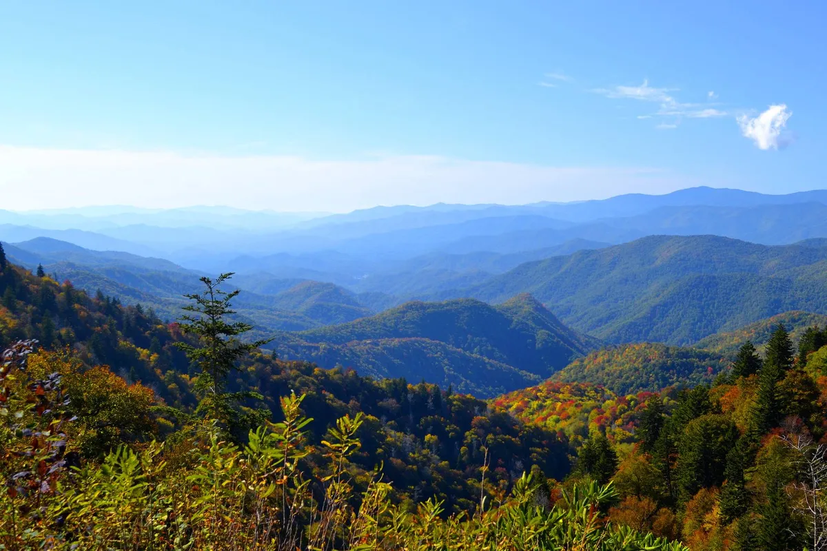 A panorama of mountain ranges under a clear blue sky, framed by colorful foliage. The natural landscape offers a tranquil escape and hints at the partial mountain views enjoyed from Lookout Vista, tying in the promise of inspiration and relaxation.