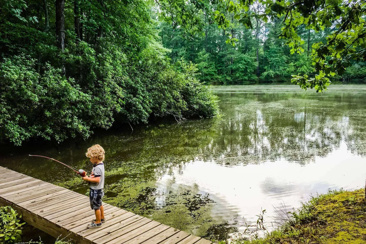 A child stands on a wooden dock, fishing in calm waters framed by lush greenery. The peaceful moment is reflective of family-friendly outdoor activities and the accessible natural beauty of the area.